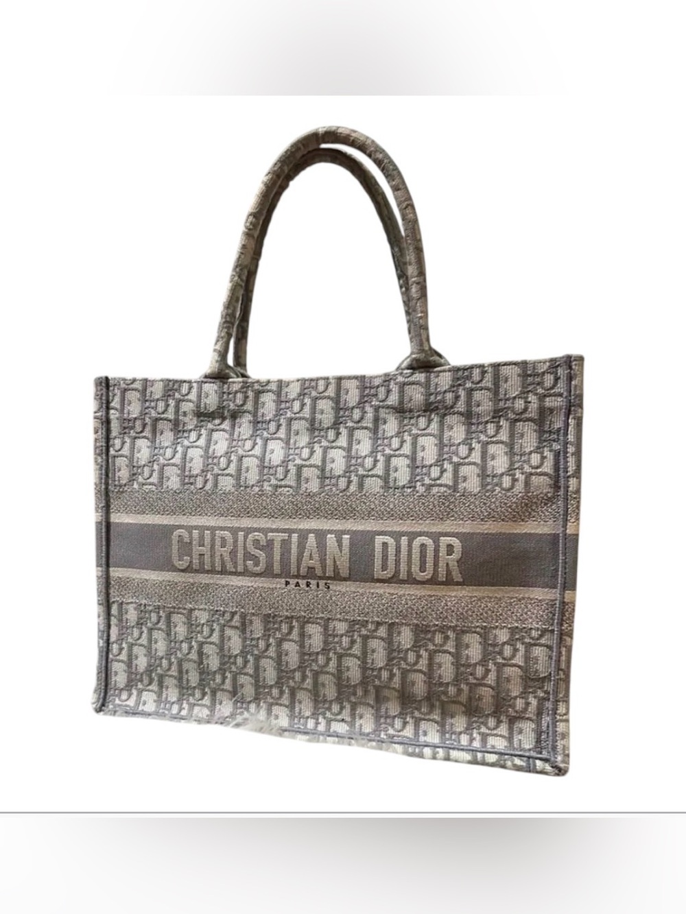 Christian Dior Book Tote Style Canvas Bag in Gray